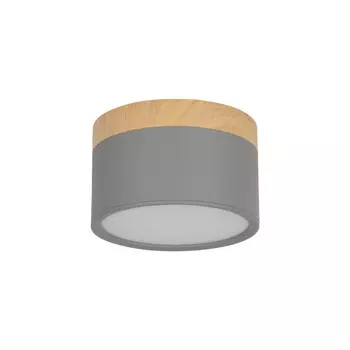 Детский точечный светильник LOFT IT 10162 Grey
