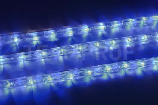 Дюралайт TEAMPROF TPF-DL-2WH-100-24-B