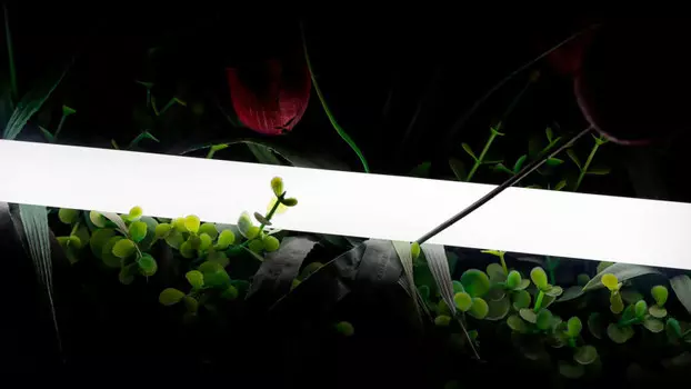 Крепеж SWG pro SWG-2360-24-NW-66