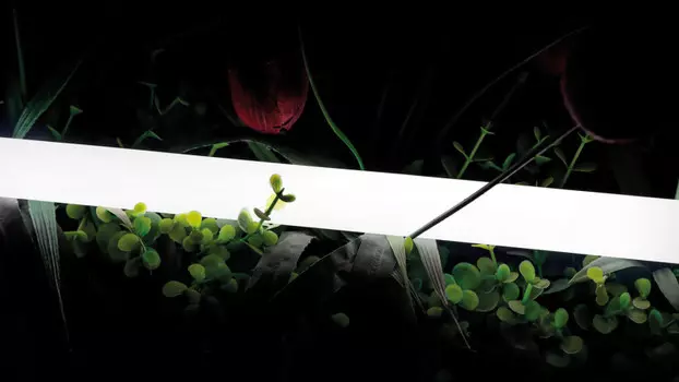 Крепеж SWG pro SWG-2360-24-WW-66