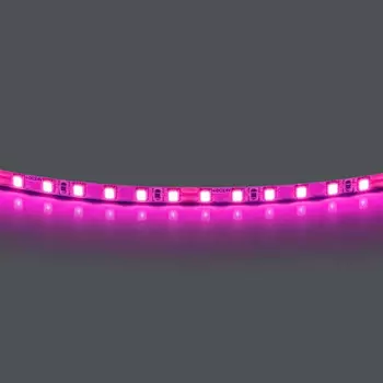 Лента Lightstar 420512