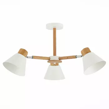 Люстра на штанге Evoluce SLE103702-03