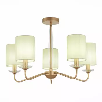 Люстра на штанге Evoluce SLE108002-05