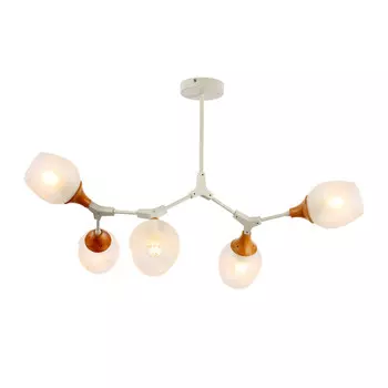 Люстра на штанге Evoluce SLE113502-05