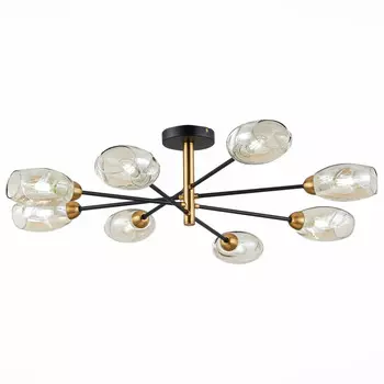 Люстра на штанге Evoluce SLE155502-08