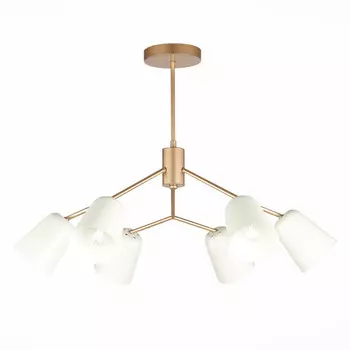 Люстра на штанге Evoluce SLE155902-06