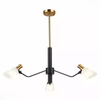 Люстра на штанге Evoluce SLE205403-03