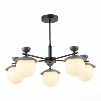 Люстра на штанге Evoluce SLE220202-05