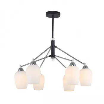 Люстра на штанге F-Promo 2661-6P