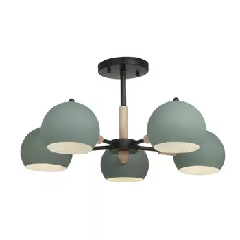 Люстра на штанге Freya FR5032CL-05B