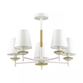 Люстра на штанге LUMION 4497/5C