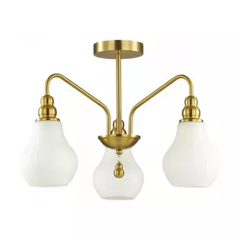 Люстра на штанге LUMION 4562/3C