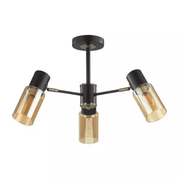 Люстра на штанге LUMION 5644/3C