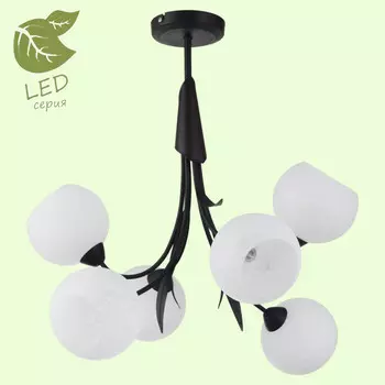 Люстра на штанге Lussole GRLSF-6293-06