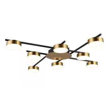 Накладная люстра APLOYT APL.042.07.56