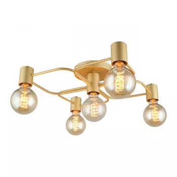 Накладная люстра APLOYT APL.911.07.05