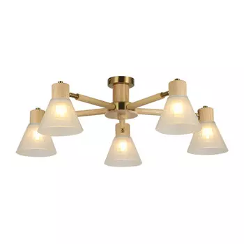 Накладная люстра ARTE Lamp A4096PL-5BR