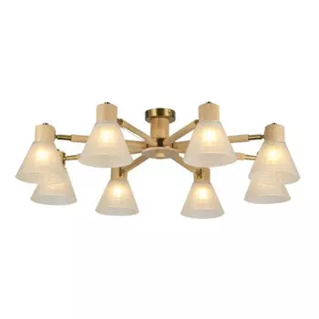 Накладная люстра ARTE Lamp A4096PL-8BR