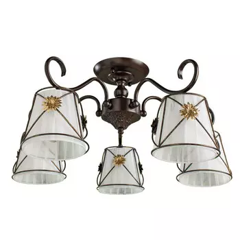 Накладная люстра ARTE Lamp A5495PL-5BR