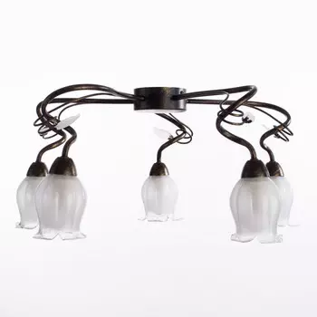 Накладная люстра ARTE Lamp A7449PL-5BR