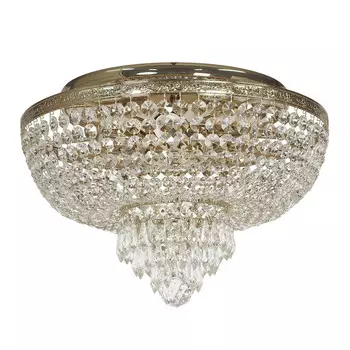 Накладная люстра Arti Lampadari Camomilla LE 1.2.40.501 G