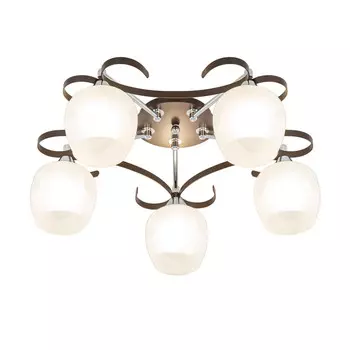 Накладная люстра Citilux CL171154