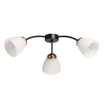 Накладная люстра DeMarkt 676016903