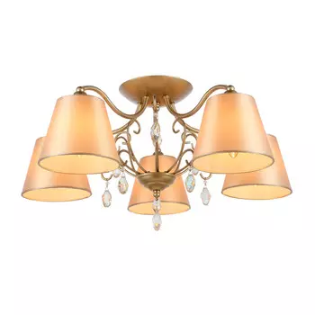 Накладная люстра Evoluce SL1135.102.05