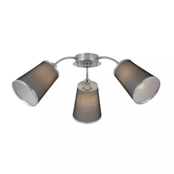 Накладная люстра Evoluce SLE103002-03