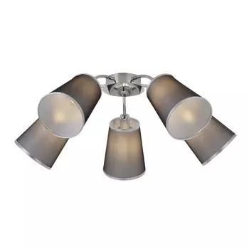 Накладная люстра Evoluce SLE103002-05