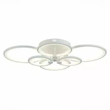 Накладная люстра Evoluce SLE900002-06