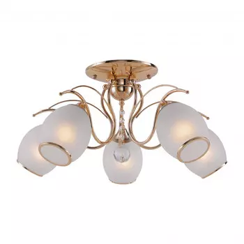 Накладная люстра F-Promo 2445-5U