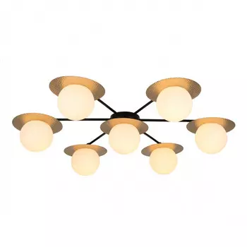 Накладная люстра F-Promo 3050-7P