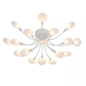 Накладная люстра F-Promo 4198-20C