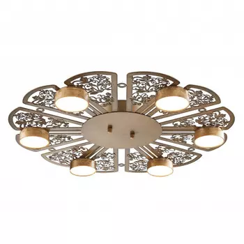 Накладная люстра Favourite 2604-6C