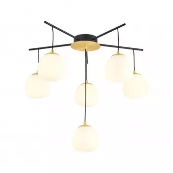 Накладная люстра Favourite 3047-6P