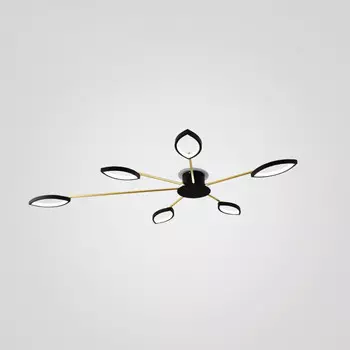 Накладная люстра ImperiumLoft 178236-26