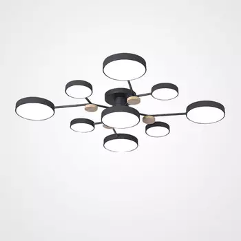 Накладная люстра ImperiumLoft 223769-23