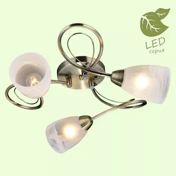 Накладная люстра Lussole GRLSP-0187