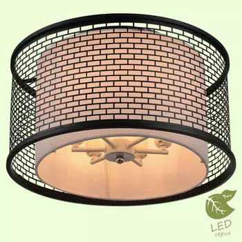 Накладная люстра Lussole GRLSP-9676