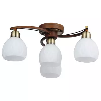 Накладная люстра Lussole lsp-0044