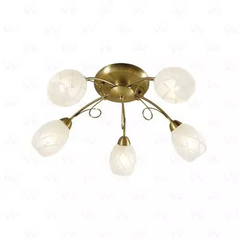 Накладная люстра MW-Light 358011505