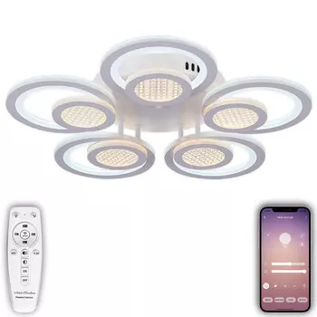 Накладная люстра Natali Kovaltseva LED LAMPS 81169