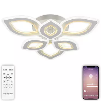 Накладная люстра Natali Kovaltseva LED LAMPS 81198