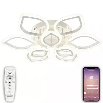 Накладная люстра Natali Kovaltseva LED LAMPS 81237