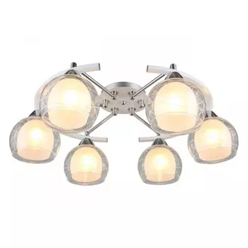 Накладная люстра Omnilux OML-28313-06