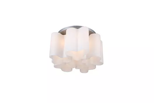 Накладная люстра ST-Luce SL119.502.05