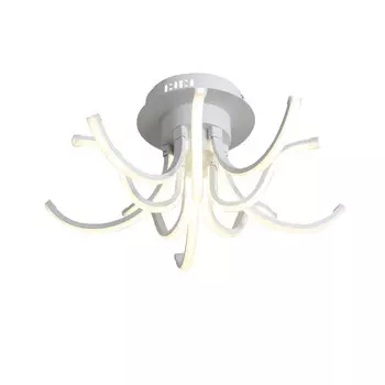 Накладная люстра ST-Luce SL826.502.10