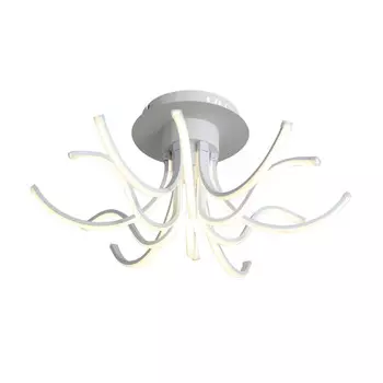 Накладная люстра ST-Luce SL826.502.12