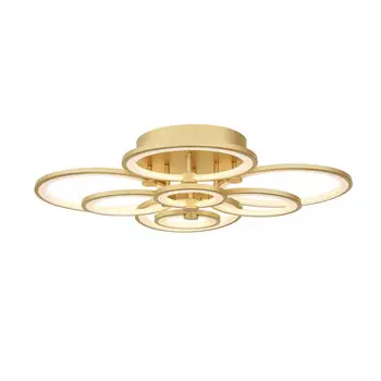 Накладная люстра ST-Luce SL867.302.08
